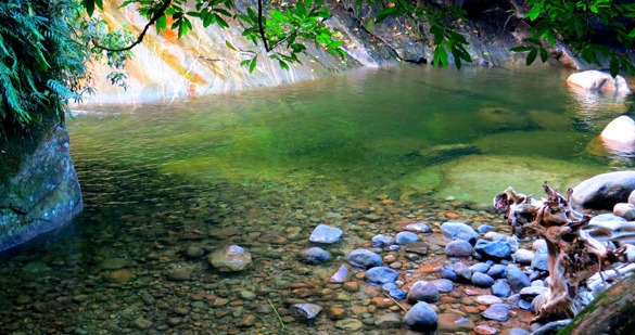 Trilha do Poço Verde - Divulgação/Guapimirim Tour